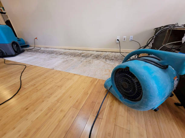 Professional Ceiling Water Damage Repair technician working in Fayetteville, NC